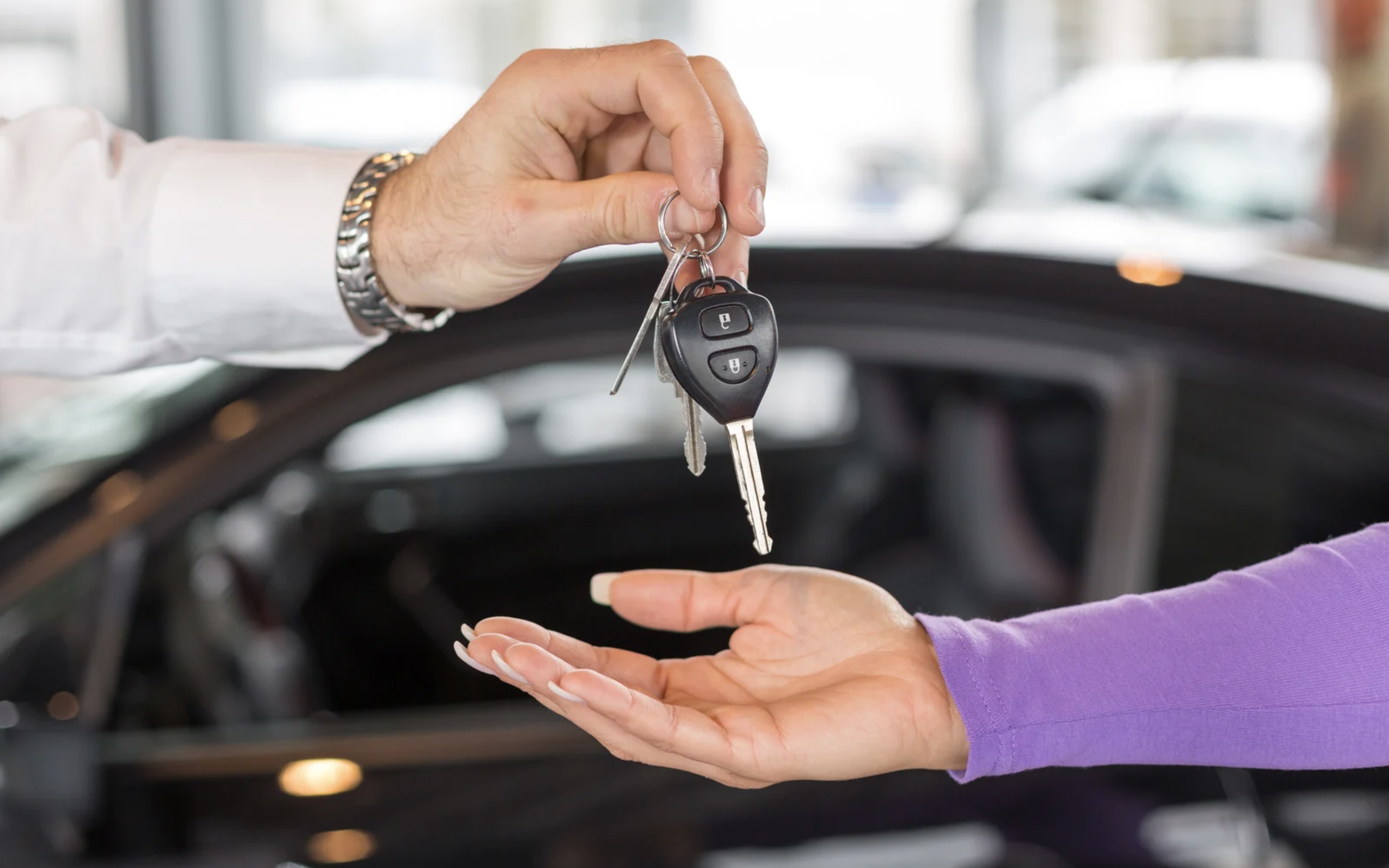 Established Car Dealership with In House Reconditioning for sale in