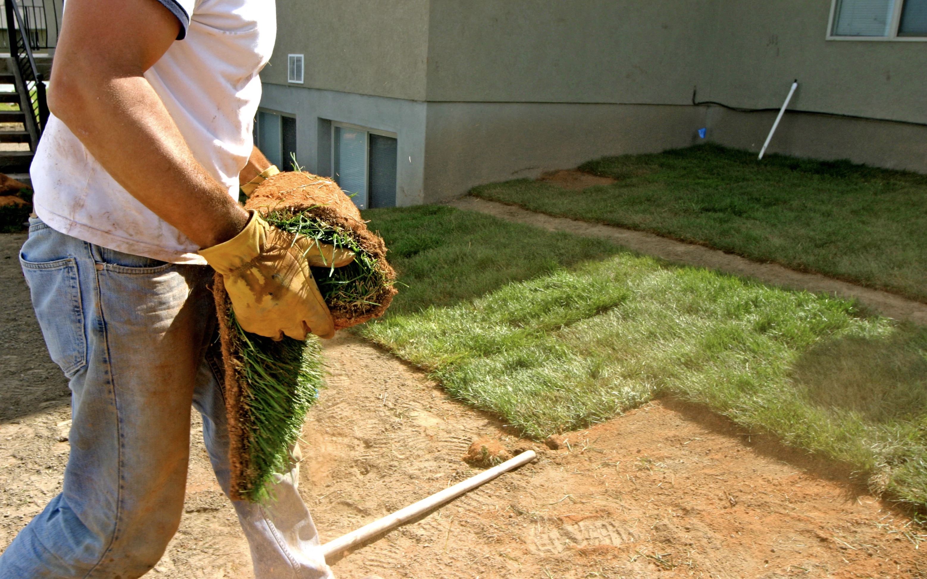 Landscaping and Yard Service Business