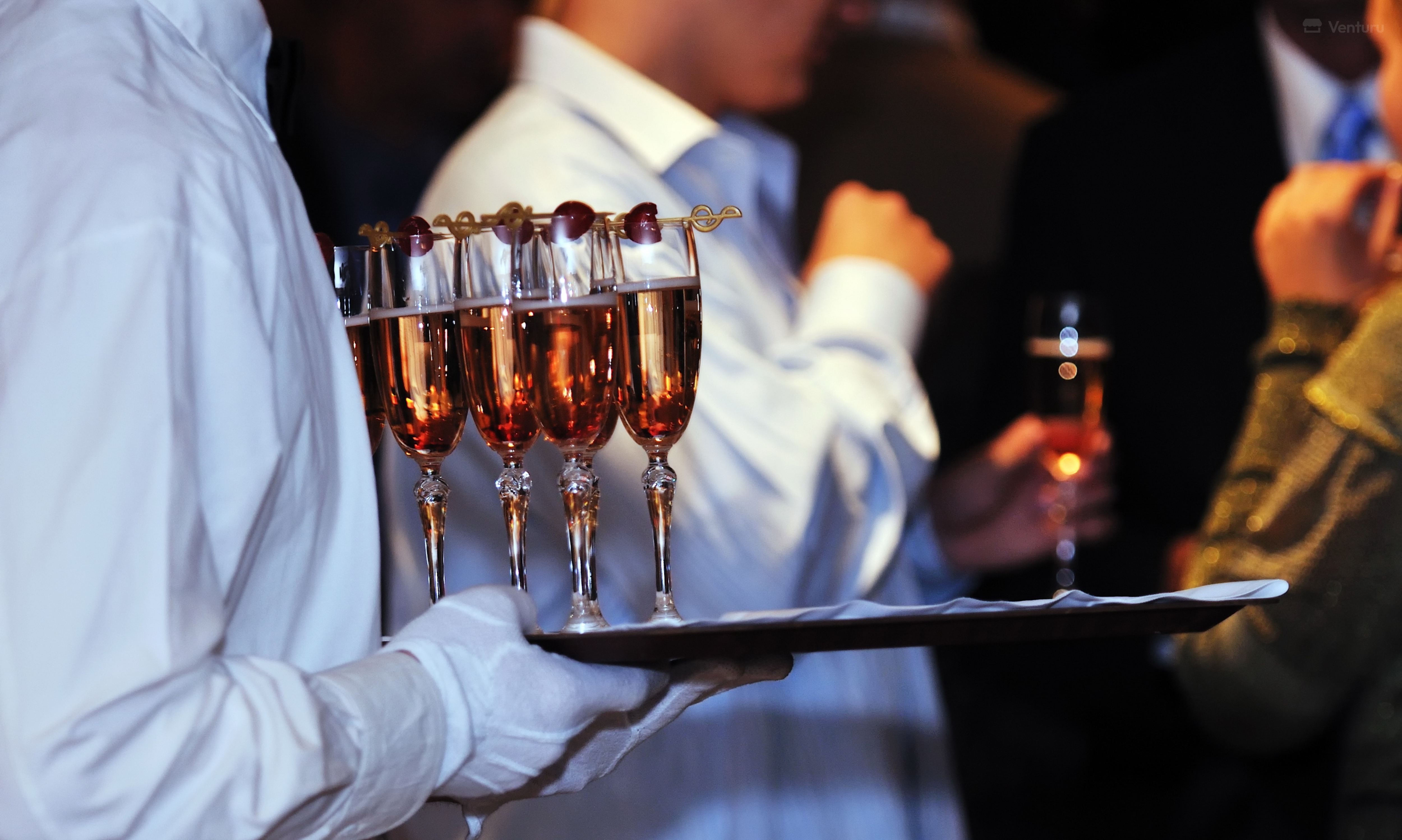 Party & Event Rental Service